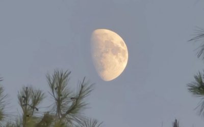 DAVID’S MOONS | ԴԱՎԹԻ ԼՈՒՍԻՆՆԵՐԸ