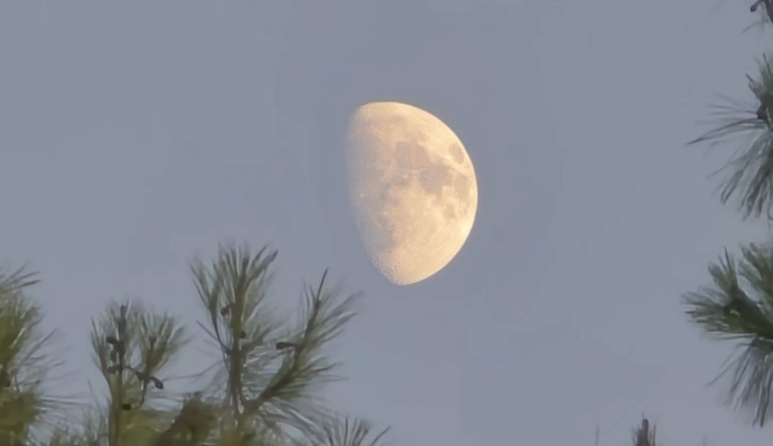 DAVID’S MOONS | ԴԱՎԹԻ ԼՈՒՍԻՆՆԵՐԸ